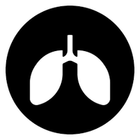 Clears Mucus & Detoxifies Lungs: The expectoran...